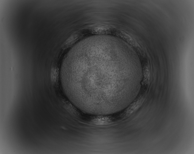 X0000100310278200806190948