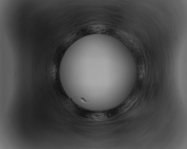 X0000100310279200806190948