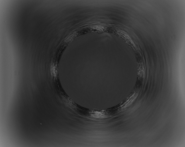 X0000100310285200806190949