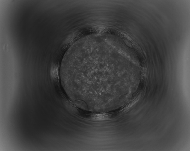 X0000100310286200806190949