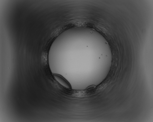 X0000100310288200806190949