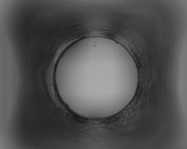 X0000100310289200806190948