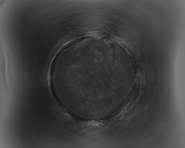 X0000100310290200806190948