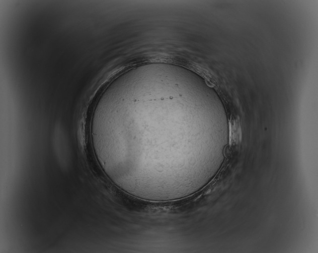 X0000100310291200806190948