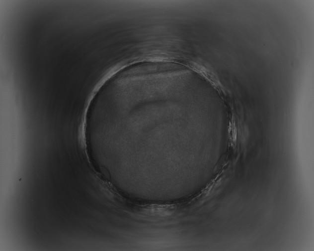 X0000100310292200806190948