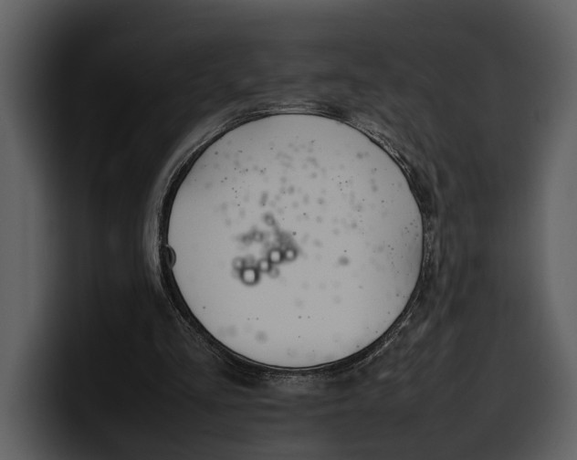 X0000100310293200806190948