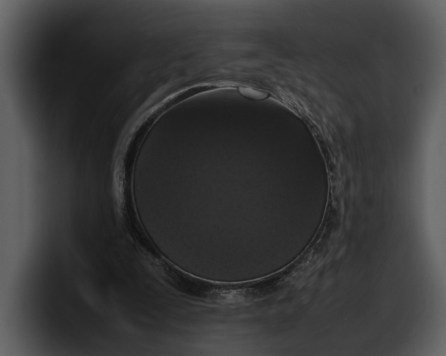 X0000100310295200806190948