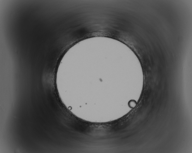 X0000100310297200806190948
