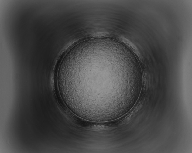 X0000100310298200806190948