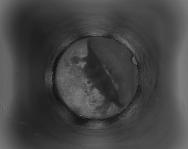X0000100310299200806190948