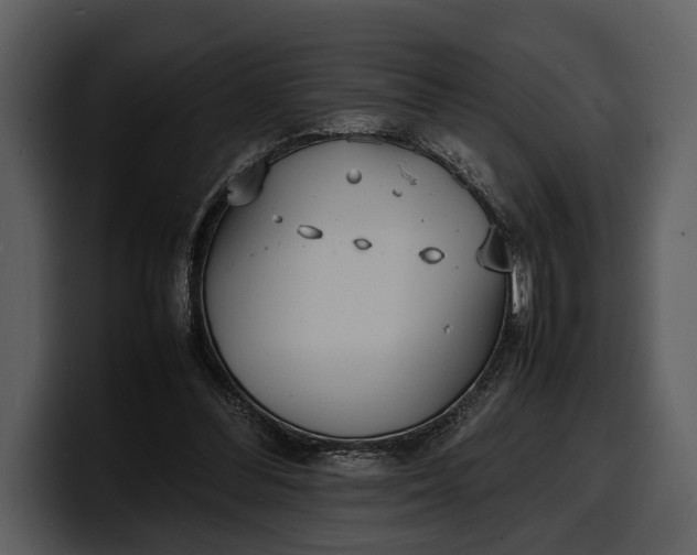 X0000100310300200806190948