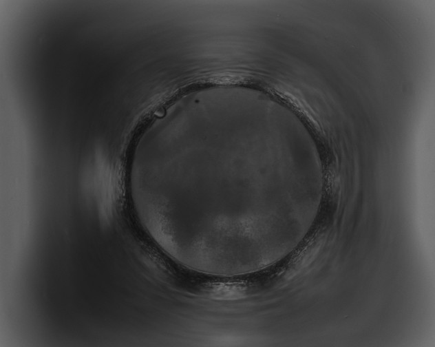 X0000100310303200806190948