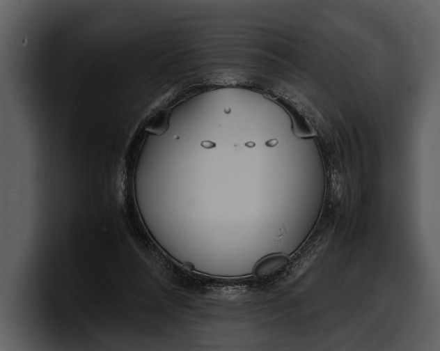 X0000100310304200806190948