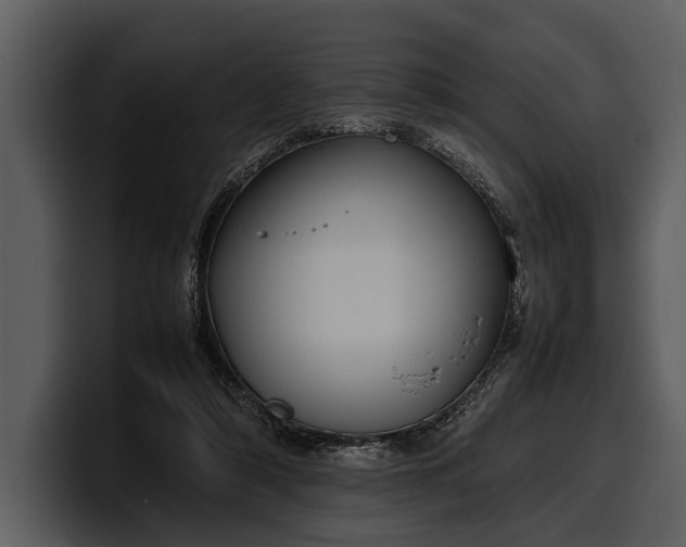X0000100310306200806190948