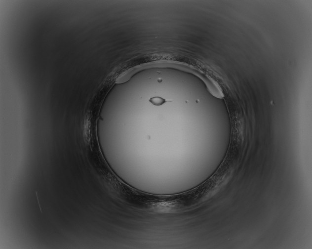 X0000100310312200806190948