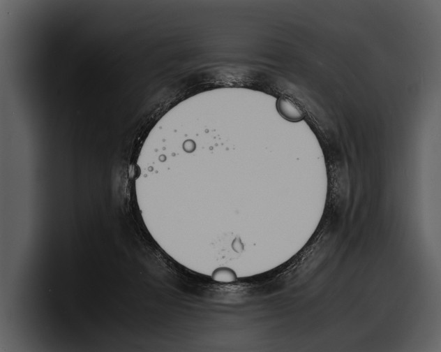 X0000100310313200806190948