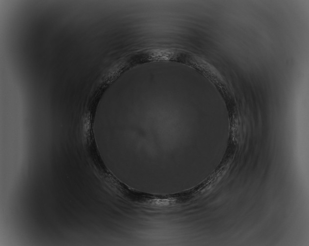X0000100310314200806190948
