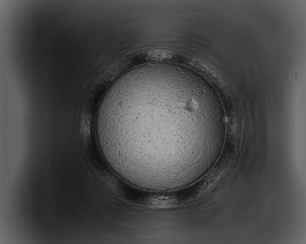 X0000100310315200806190948