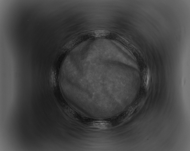 X0000100310316200806190948