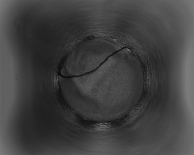 X0000100310320200806190948