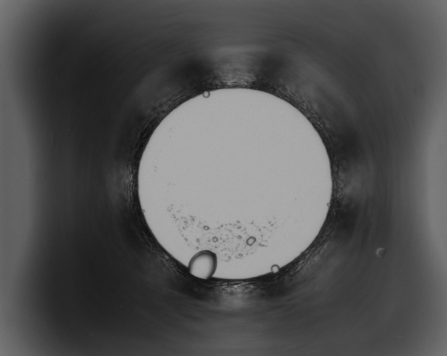 X0000100310321200806190947