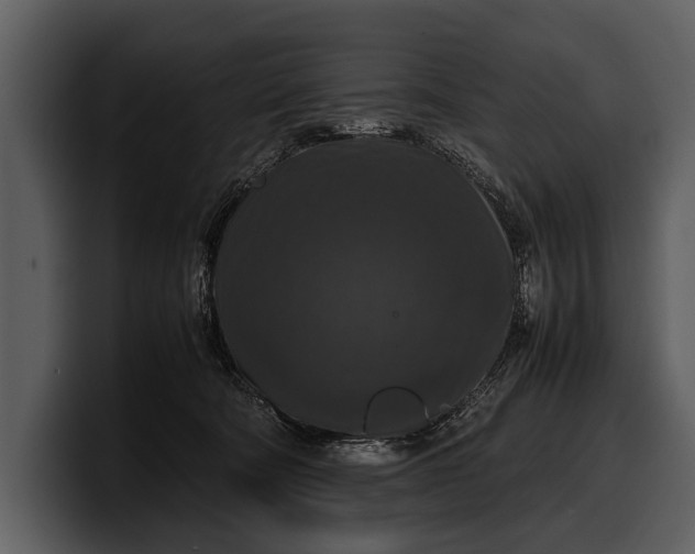 X0000100310322200806190947