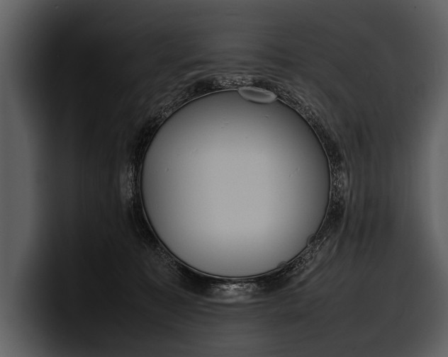 X0000100310323200806190947