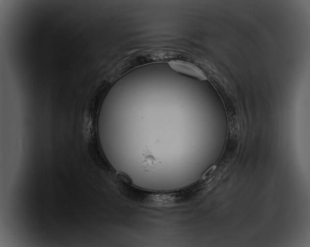 X0000100310327200806190947