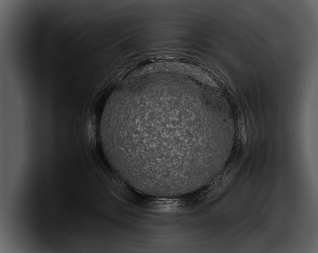 X0000100310328200806190947