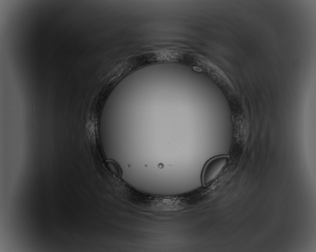 X0000100310329200806190947