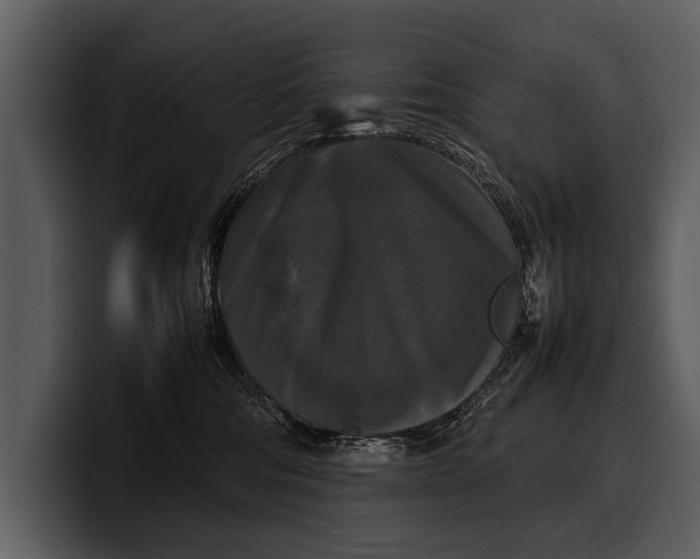 X0000100310330200806190947