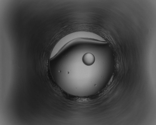 X0000100310332200806190947
