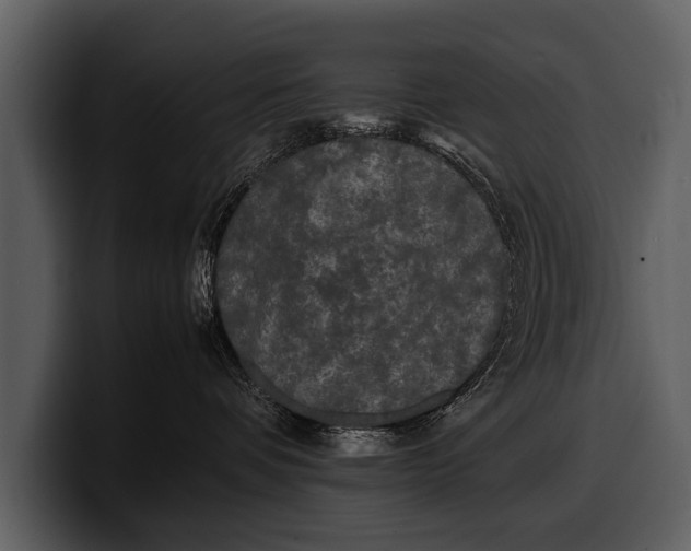 X0000100310336200806190947