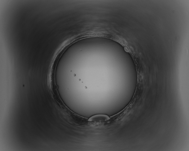 X0000100310340200806190947