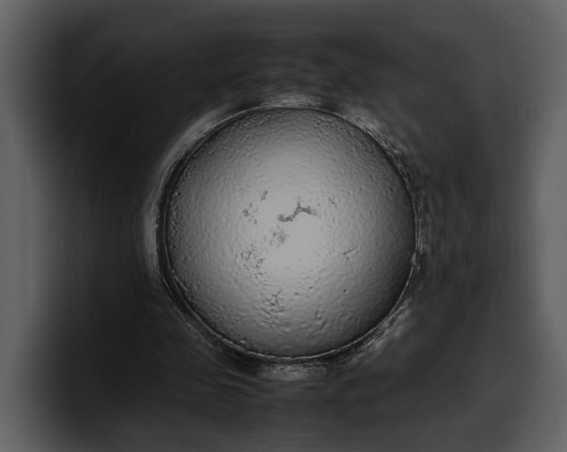 X0000100310341200806190947