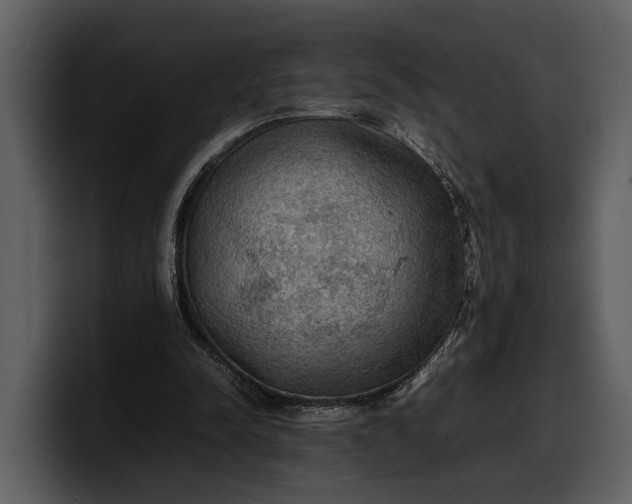 X0000100310342200806190947