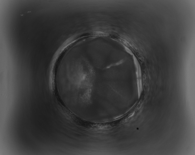 X0000100310343200806190947