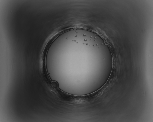 X0000100310344200806190947