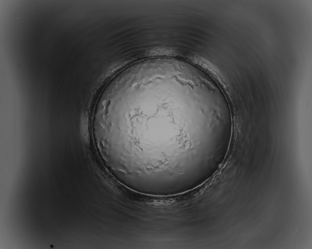 X0000100310345200806190947