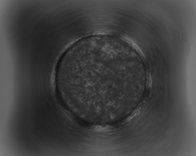 X0000100310346200806190947