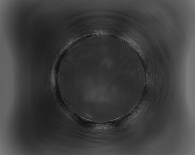 X0000100310347200806190947