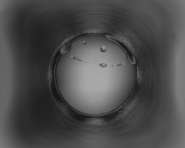 X0000100310348200806190947