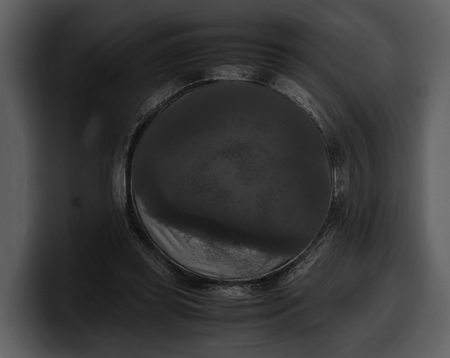 X0000100310349200806190947