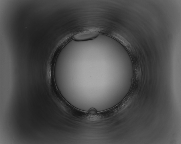 X0000100310350200806190947