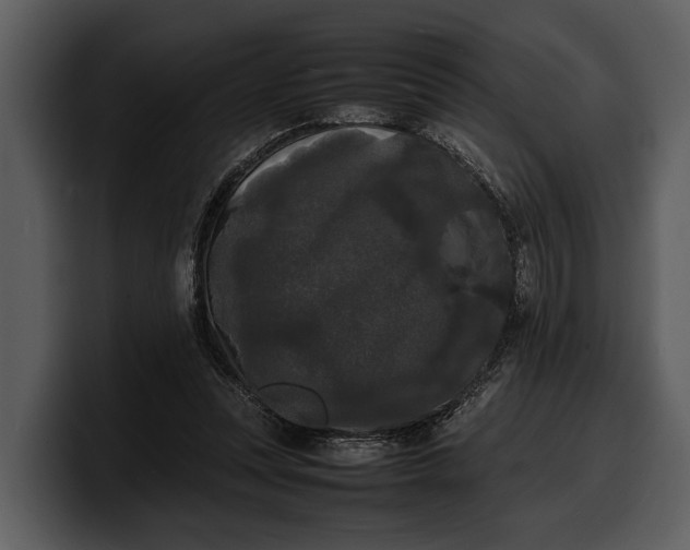 X0000100310351200806190947
