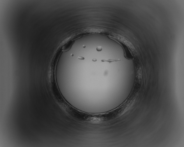 X0000100310352200806190947