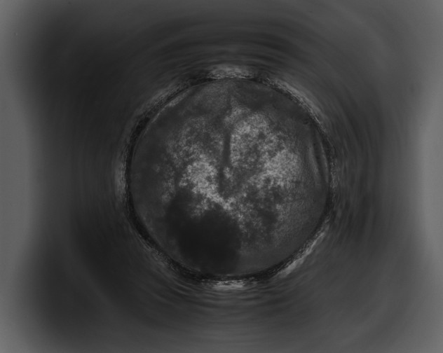 X0000100310353200806190947