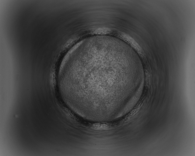 X0000100310354200806190947