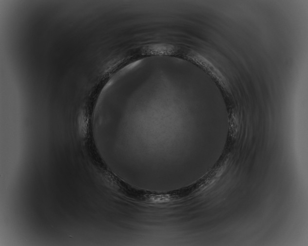 X0000100310355200806190947