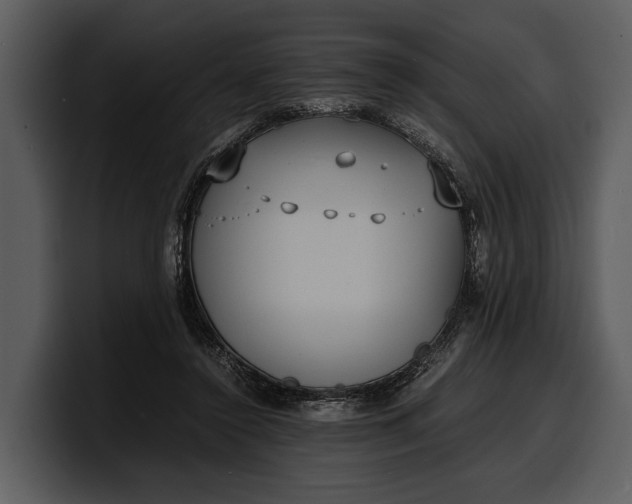 X0000100310356200806190947